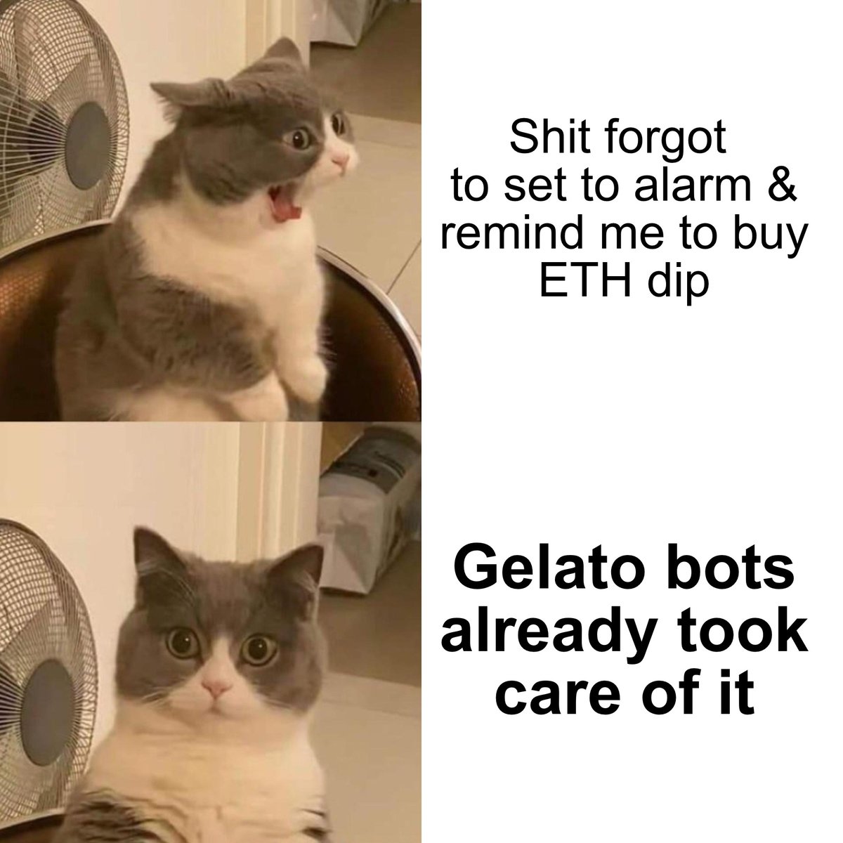 dapp_n00b's tweet image. #GelatoSummer 
$GEL 
#SorbetFinance
#DeFi