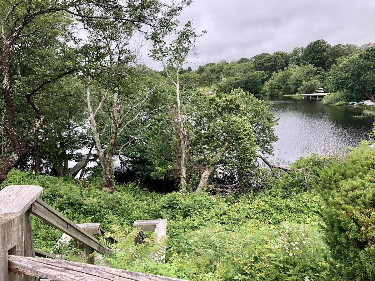 mac_cheeves's tweet photo. low tide, high hopes
ππ¦ππ»πͺ¨π€π»
πΆ @InhalerDublin #cheerupbaby
@dirtbagrunners
#dirtbagrunners #dbrambassador #lasthorserunner #seenonmyrun #trailrunning #igrunners #runmass #plymouthrock #leavenotrace #yetiarmy #hillbillyviking
@mboromade @lululemon @HOKAONEONE https://t.co/Xj1t7tjv6A