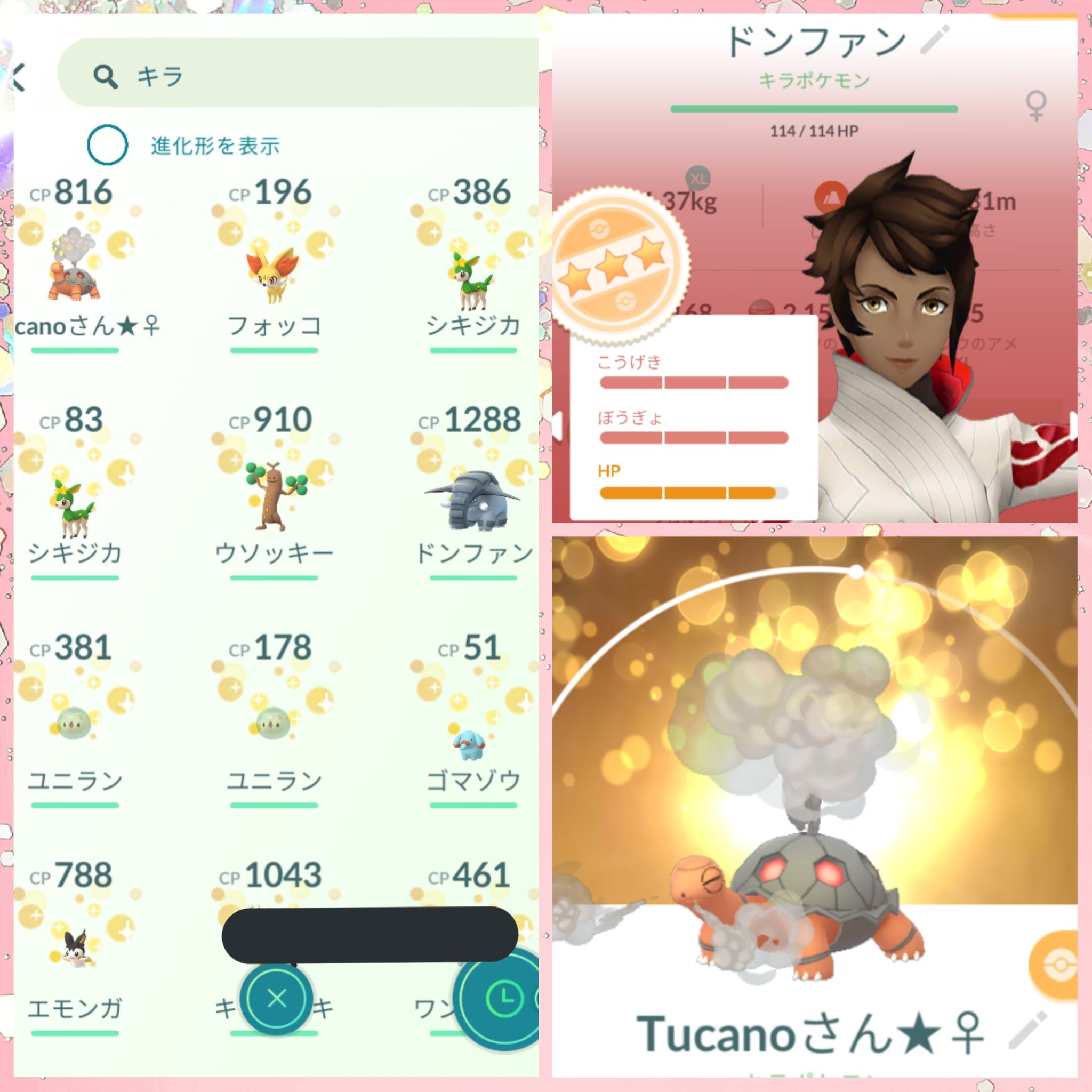 つっか 今日は9 70キラ 最近キラ率が良い キラった98の高個体のゴマゾウ 手が勝手にボタン押してドンファンに進化させてしまった Ww さっき 上野まで行ってキラ交換して頂きました コータス Get 私からはピカチュウサンバイザーの