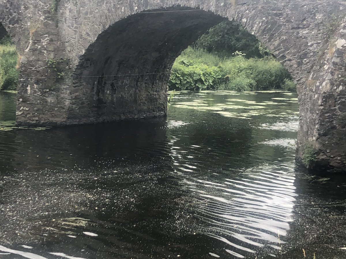 HezTalk's tweet photo. Love home. π»
#ShawsBridge #Belfast https://t.co/AYlFLUpSTV