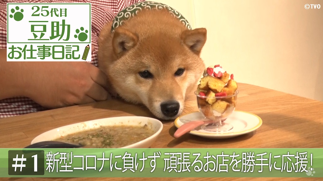 豆助 EzFuU4OVEAciOD4.jpg