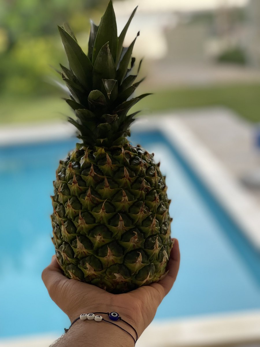 حمد الجابري tweet media