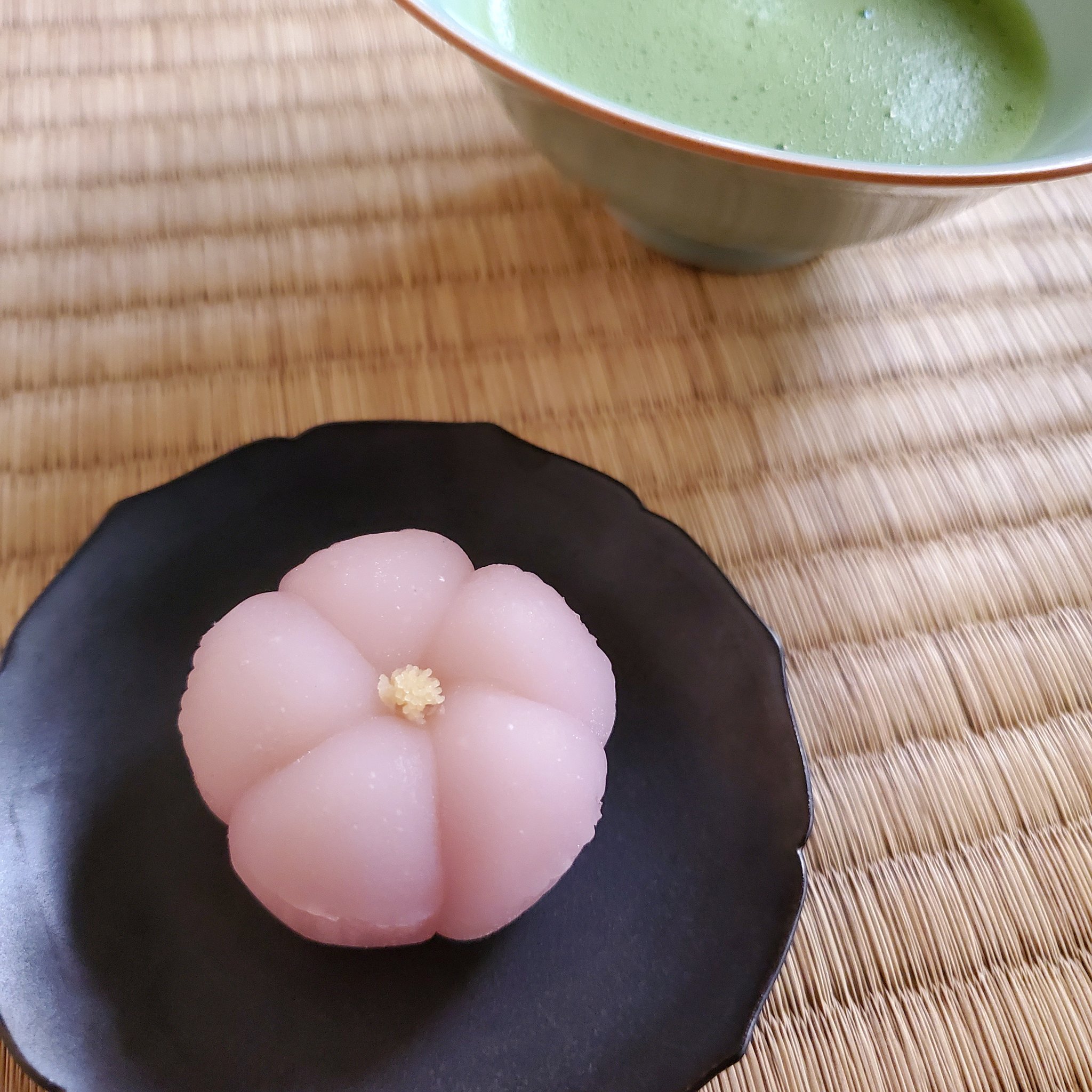 茶道体験カメリア 今日は聚洸さんの 石竹 せきちく で一服しました ナデシコに良く似ており 花弁の切れ込みの浅さや背丈等 の違いはありますが 見分けるのがとても難しいです 葉が竹の葉に似ていることからこの名前がつきました 花の名前 和菓子