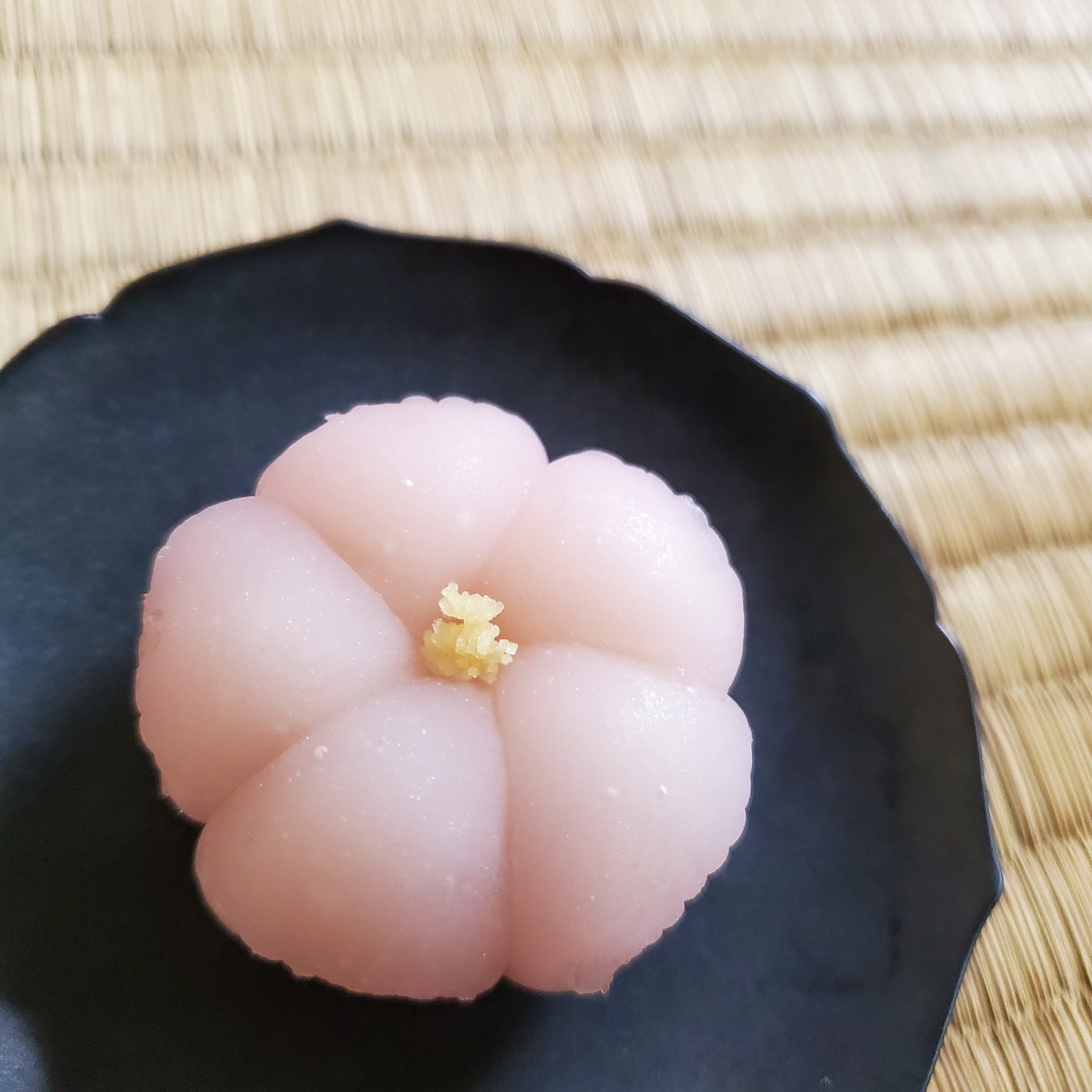 茶道体験カメリア 今日は聚洸さんの 石竹 せきちく で一服しました ナデシコに良く似ており 花弁の切れ込みの浅さや背丈等 の違いはありますが 見分けるのがとても難しいです 葉が竹の葉に似ていることからこの名前がつきました 花の名前 和菓子