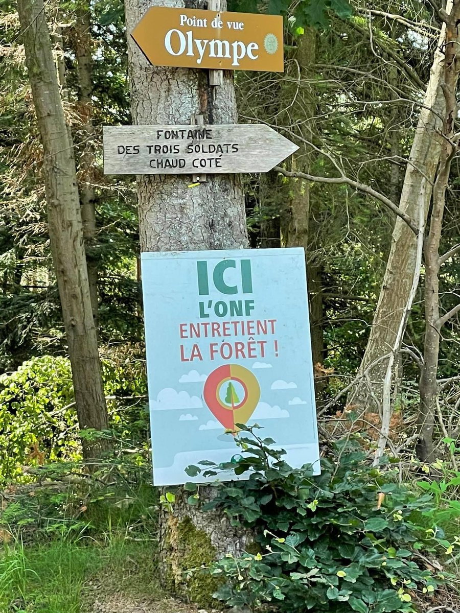 KNi_ride's tweet photo. @viaVosges @ONF_Officiel Depuis fin mars, travaux terminés mais rien n'est remis en état, les forêts autours d'Epinal sont saccagées et certains sentiers VTT balisés FFC et pédestres sont inaccessibles ! Faites votre boulot jusqu'au bout svp...
cc @garrusdu88 https://t.co/hWkfMP6eHR