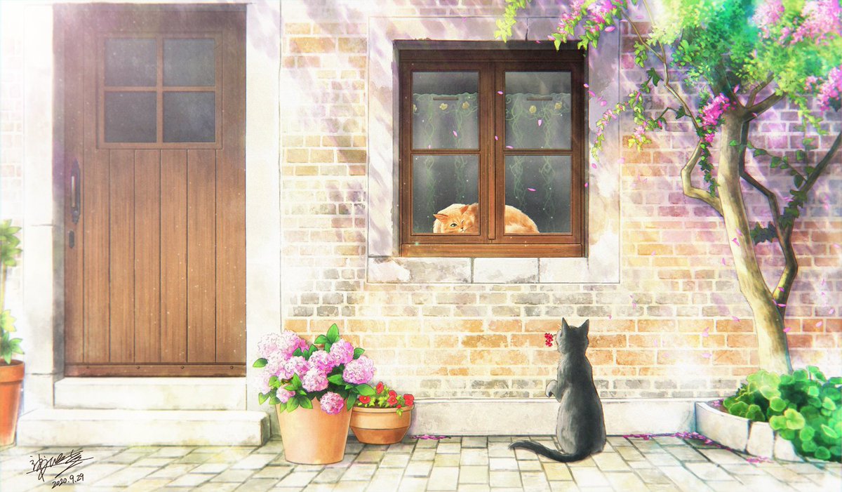 cat no humans flower black cat plant potted plant scenery  illustration images