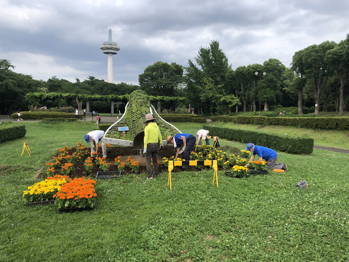 所沢航空記念公園 公式 Tokotokopark Twitter
