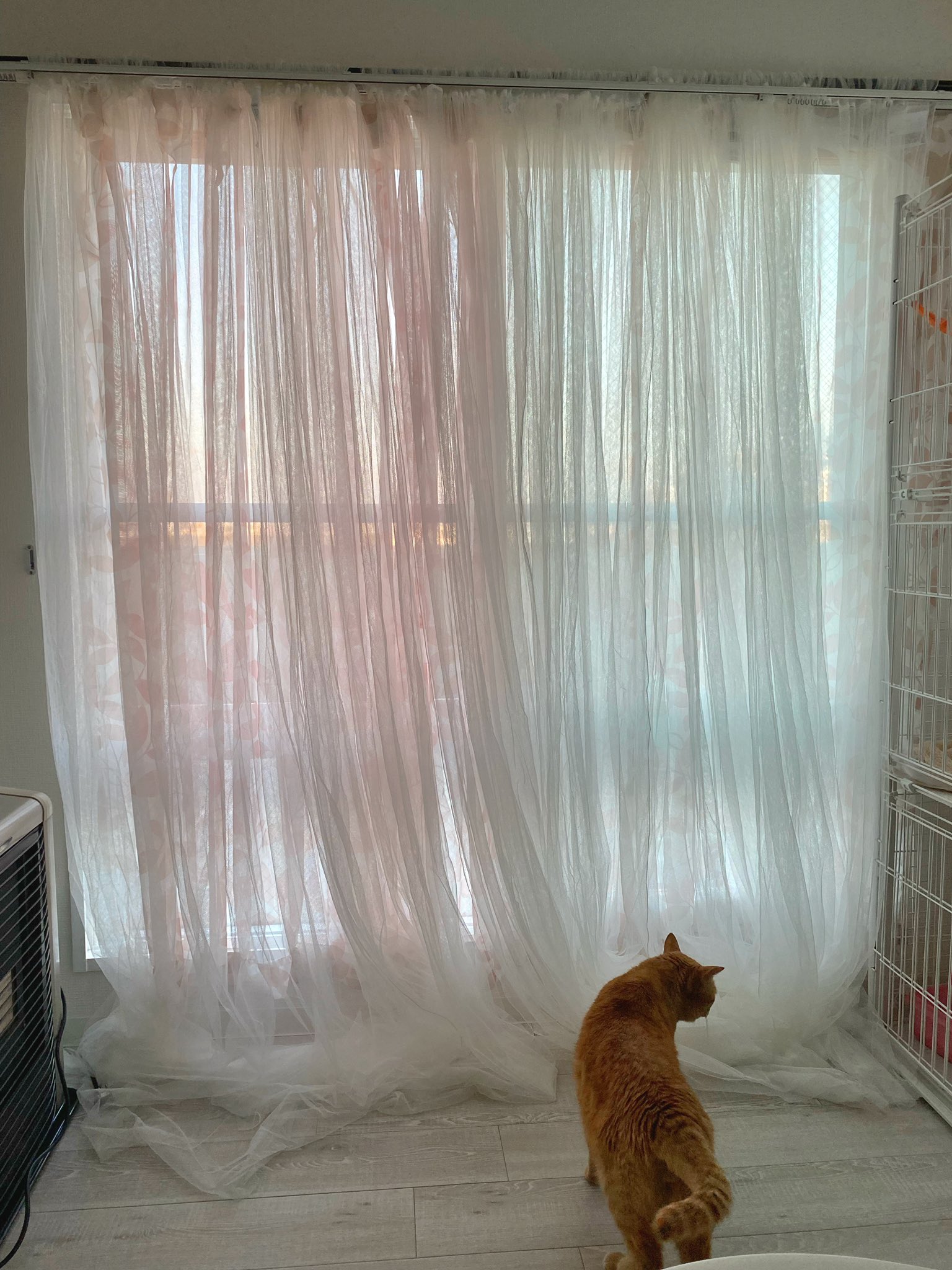 シーズン3 No Twitter Ikeaのカーテン リル に変えた スケスケだけど良い感じなのでは 丈はそのうち切る T Co 2slbboxibc Twitter シーズン3 No Twitter Ikeaのカーテン リル に変えた スケスケだけど良い感じなのでは 丈はそのうち切る T Co 2slbboxibc Twitter