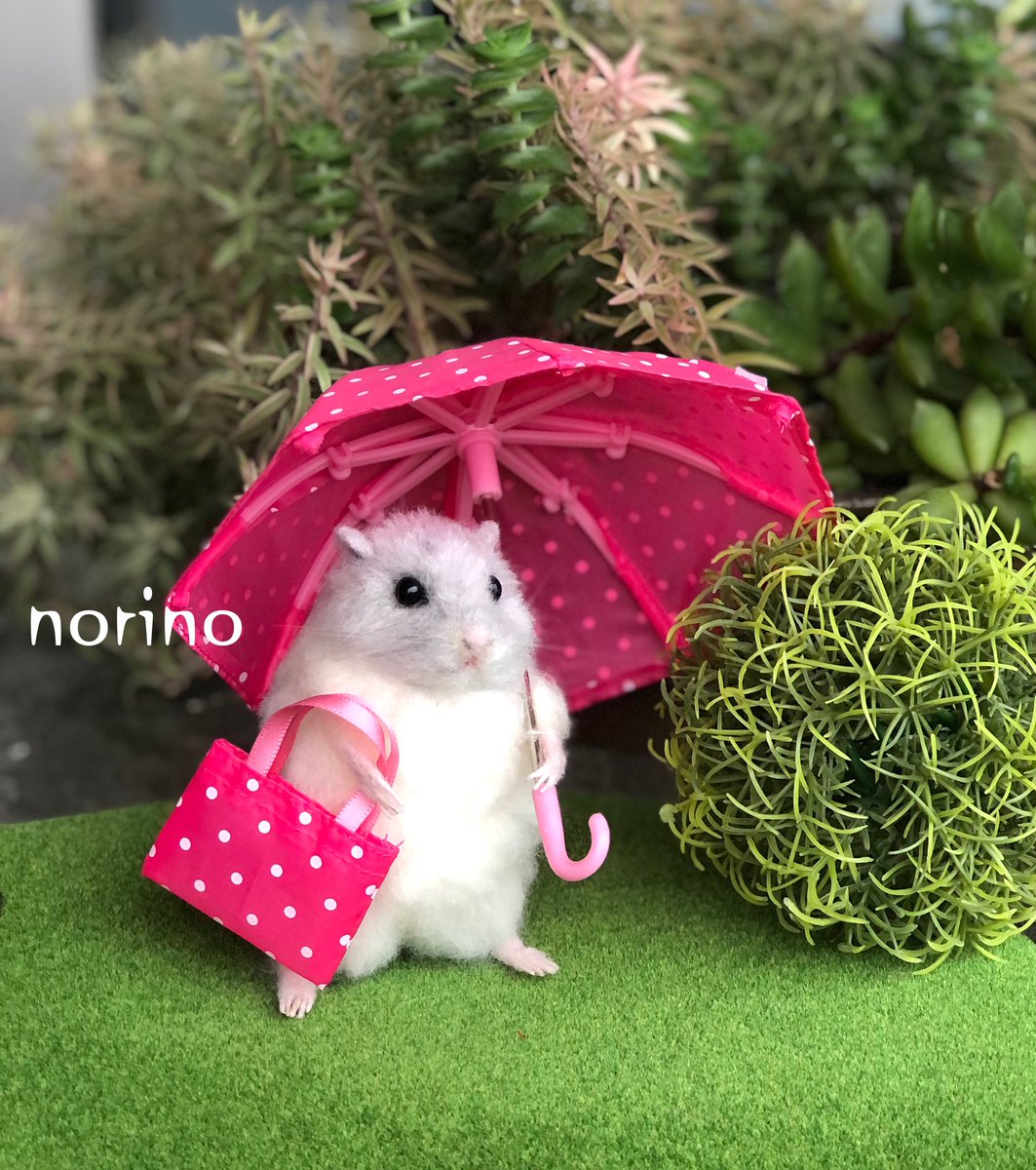 羊毛フェルトハムスター のイラスト マンガ コスプレ モデル作品 24 件 Twoucan