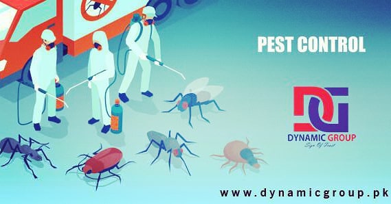 _DynamicGroup's tweet photo. https://t.co/6Mq4cIGEBK