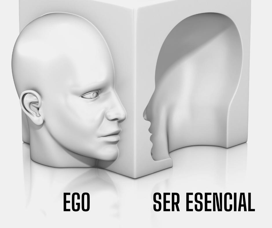 alejodorowsky's tweet photo. El Ego, (tu Yo ilusorio: lo que crees ser) va del hervidero de ilusiones al ruidero de palabras. Tu Ser Esencial, (tu Yo auténtico: lo que en verdad eres), tiene la calma.del silencio. Siendo tú una parte del mundo, cualquier progreso interior que hagas hace progresar al mundo. https://t.co/0g8FCFyfJg