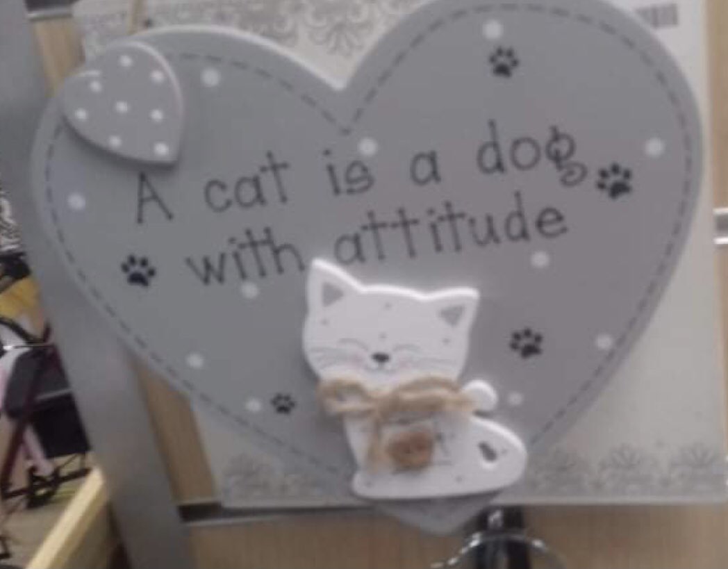 FileyMindShop's tweet photo. Shudehill Giftware sign for household/domestic decoration.
Pet themed.
Currently located on the column in the middle of the shop.
£2 https://t.co/SSCaYoH066