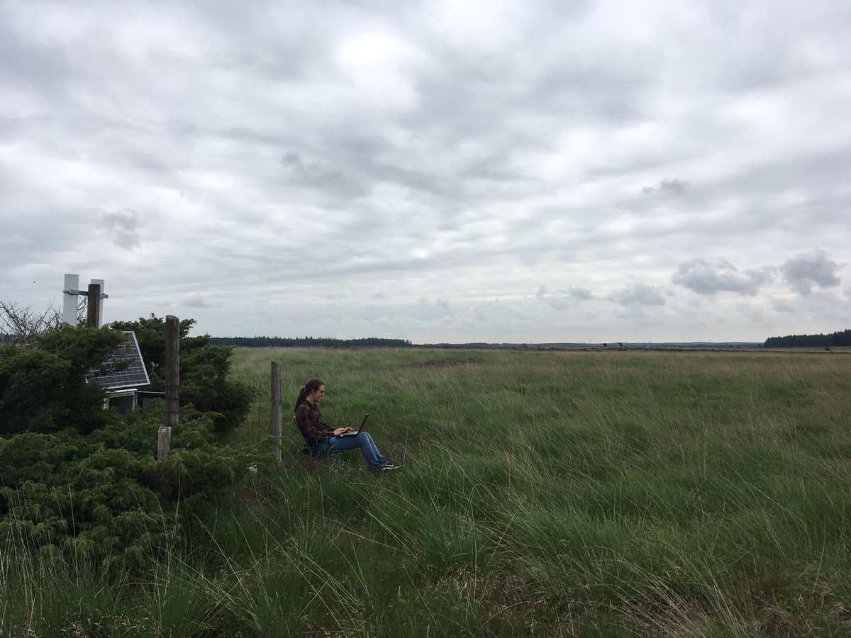 Hard field work.... downloading data. #cosmicray #soilmoisture #CRN #harddayatwork @mieandMA