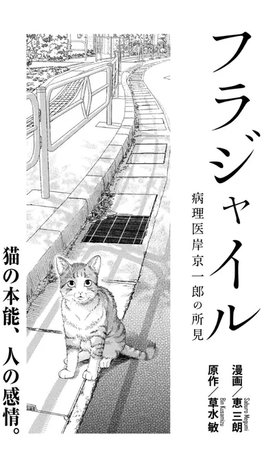 フラジャイル最新話載ってるアフタヌーンが発売中でーす
猫描きました🐈 