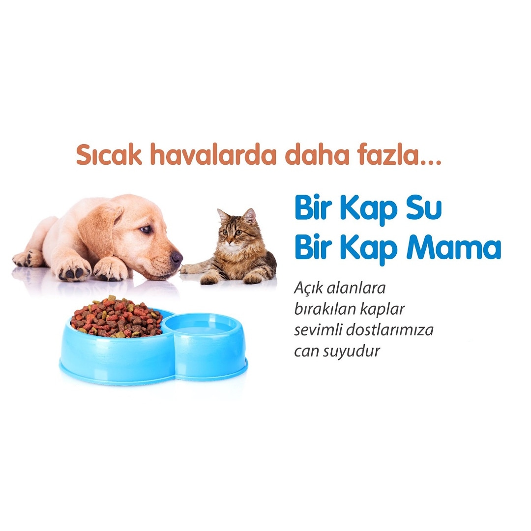 antalyakonser's tweet photo. Bir Kap #Su
Bir Kap #Mama
#sokakhayvanları #BirKapSuBirKapMama https://t.co/9aqtCjWl2v