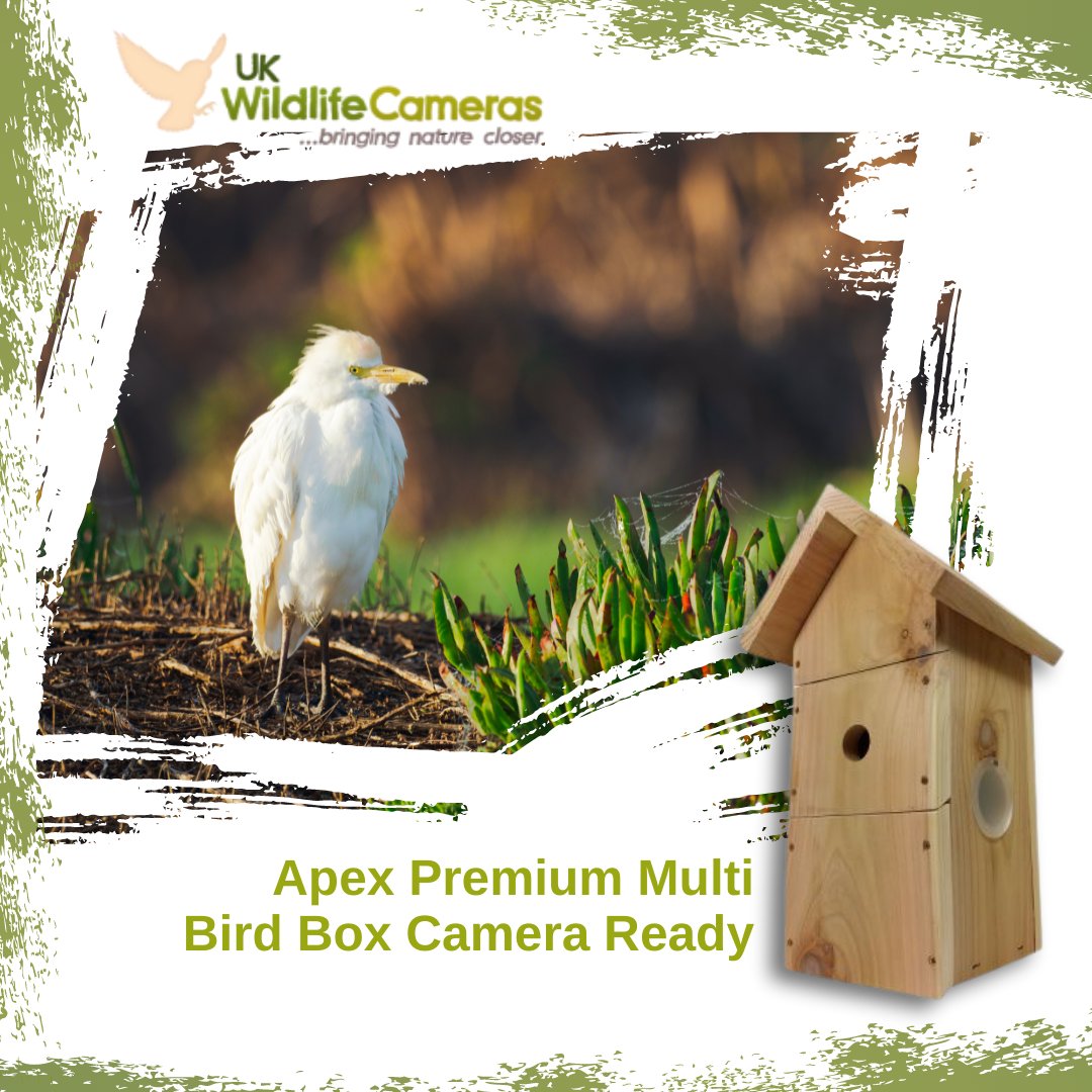 Apex design has a pointed roof for better weather and predator protection, apart from an attractive design.
Front panels are removable for bird table feeder conversion and an optional open nest box setup.

ukwildlifecameras.co.uk

#ukwildlifecamera #wildlife #trailcams