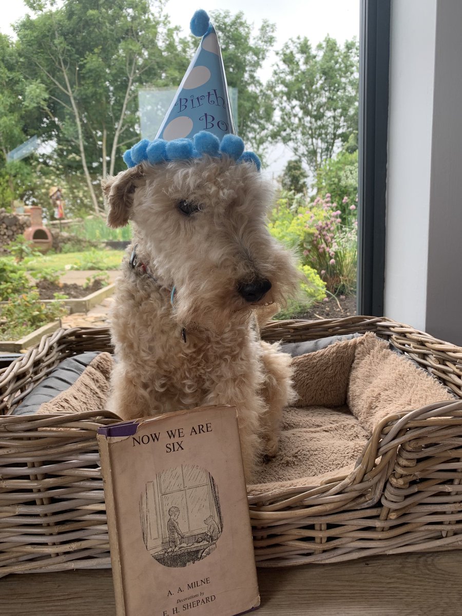 Yes pals it’s me birthday 🥳 🎉🎂🥂guess how old I am 🤣🤣🤣💖💖#AAMilne