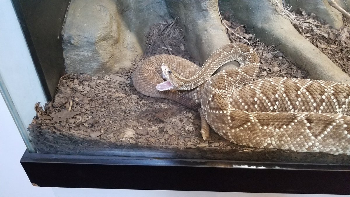 Pittsburg zoo and PPG aquarium