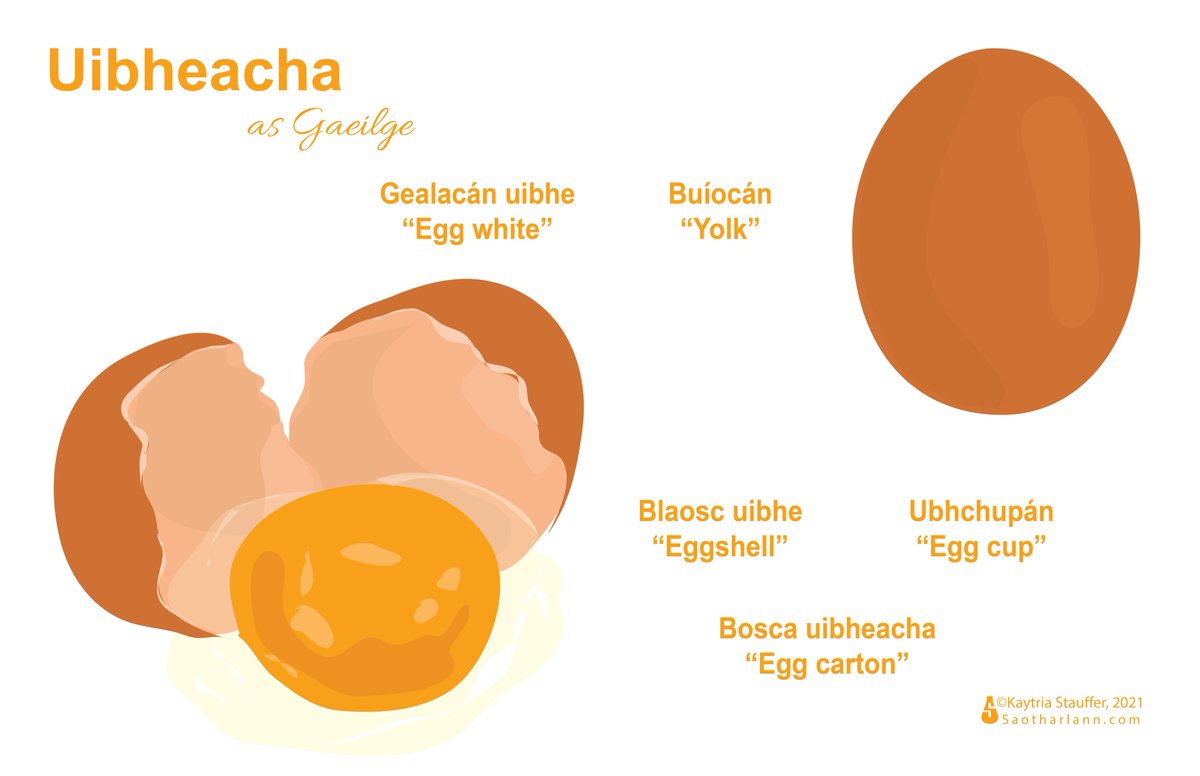 Fiver nua inniú - Uibheacha. Seans go mbeidh mé ag úsáid Twitter níos mó anois??? Seans...
-
<a href="/Saotharlann/">Kay Stauffer</a> ar Insta