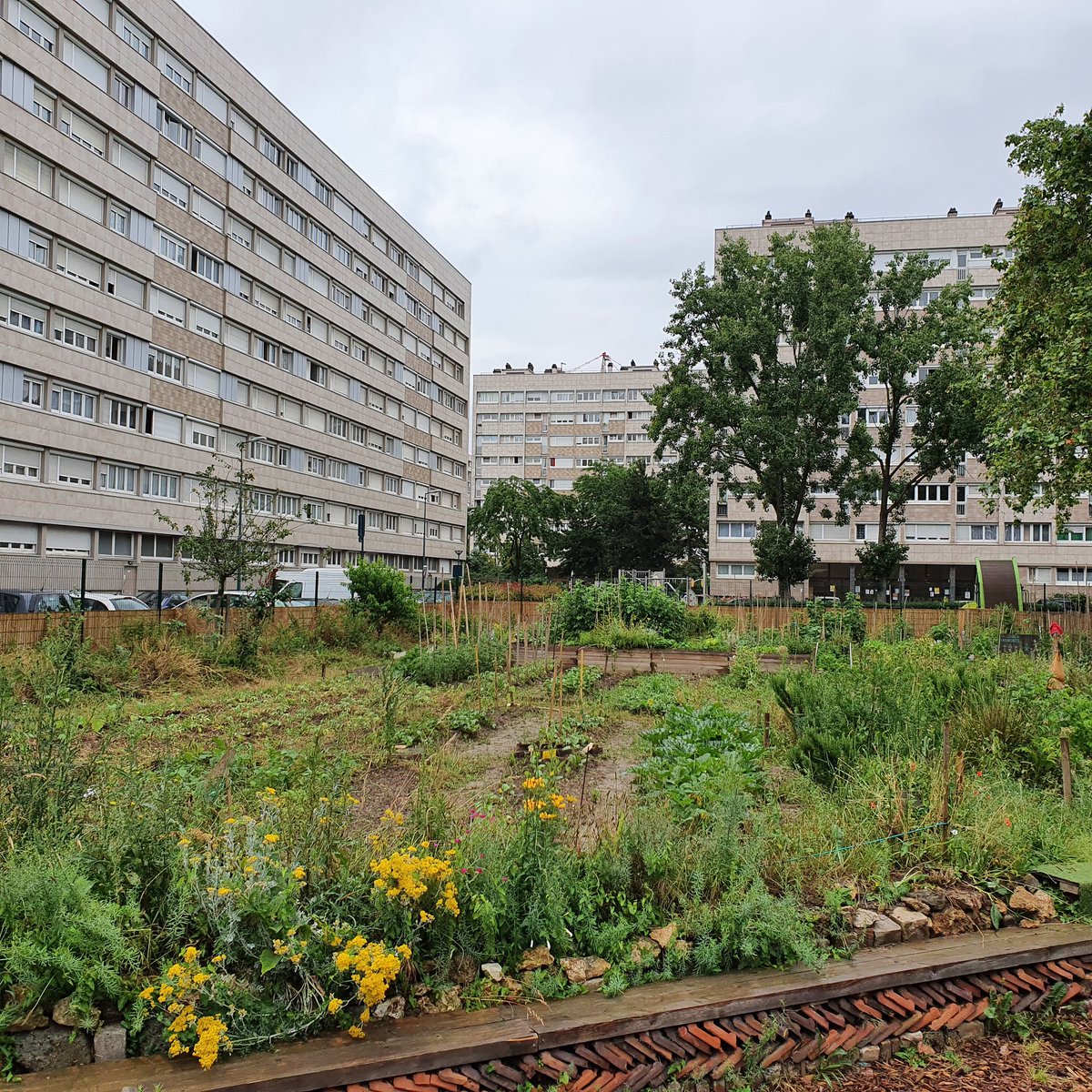 BernierChri's tweet photo. Ce matin avec les usagers de #agrocite de #Gennevilliers pour échanger sur les projets et la création d'une association de gestion https://t.co/vEod0O0Jp3
