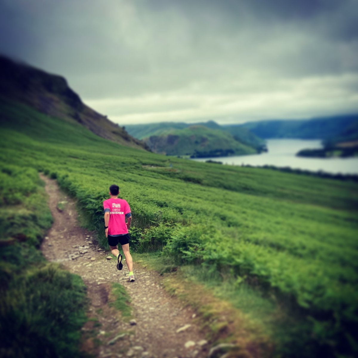 Stephen Hamil tweet media