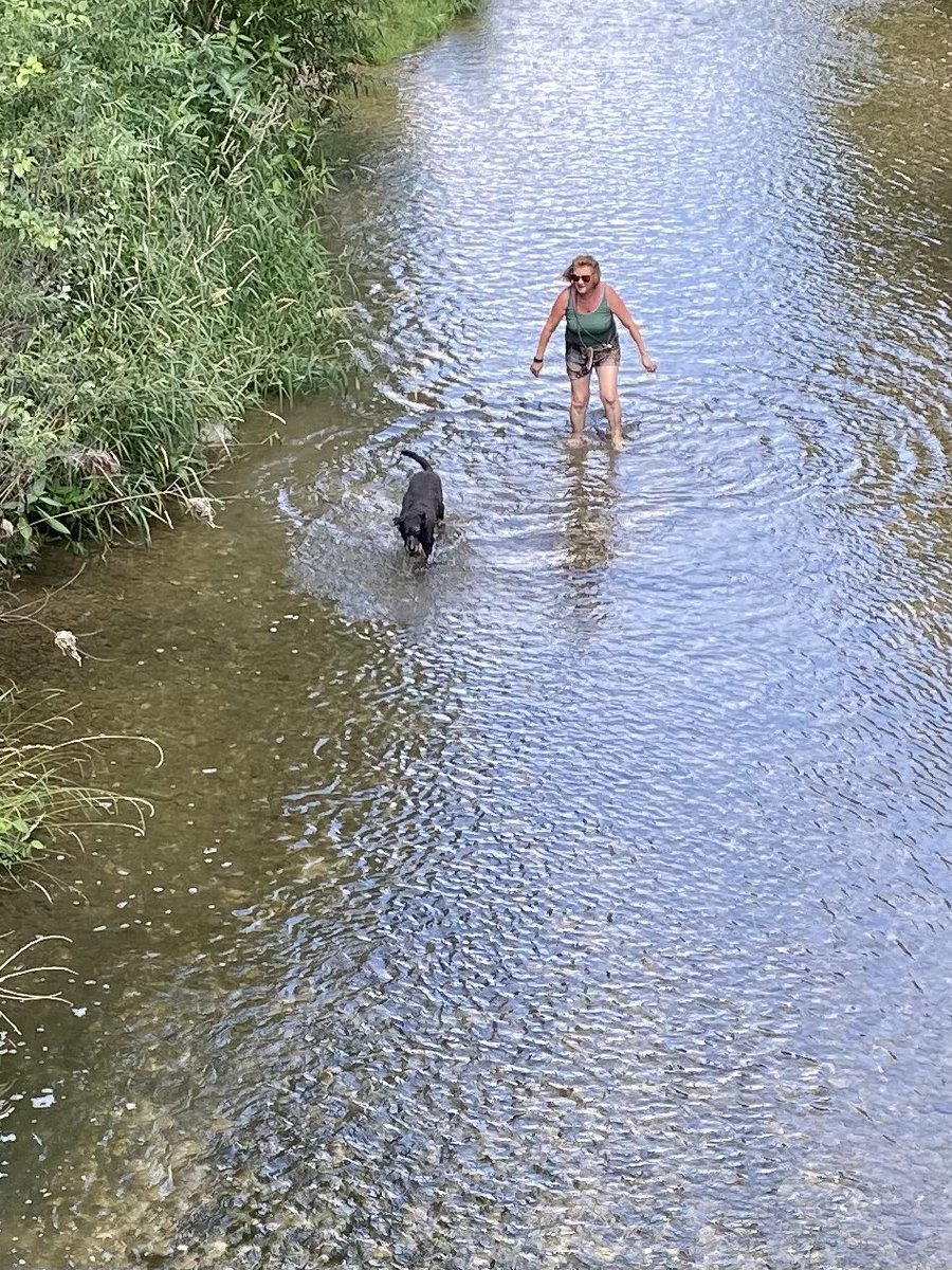 1 Stunde mit Gattin und Hund bei Sonnenschein und + 26 Grad in und bei der Triesting Spazieren #OeNR #OeBH #GEBÖS # einfach herrlich!