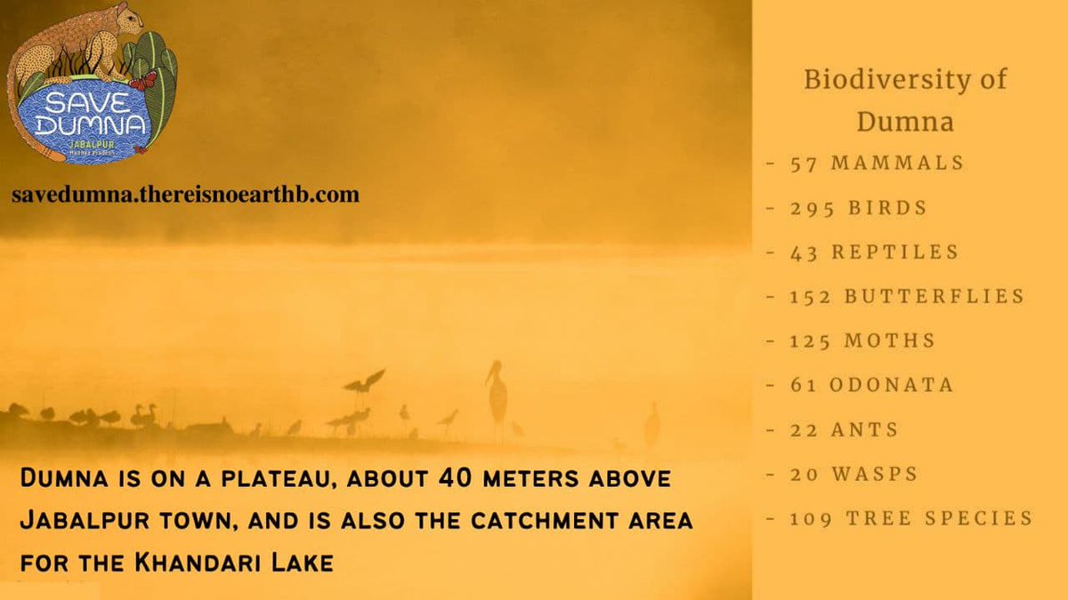 devprof's tweet image. Since &apos;73 when NTGN, MP (Master Plan) came into existence Khandari Reservoir in Dumna&apos;s catchment area got sp. status of Eco-sens. zone 

क्या यह सत्य है की आपके रहते अवैध रूप से @IIITDM के निर्माण में कोई पेड़ नहीं काटे गए?

DUMNA NATIONAL PARK