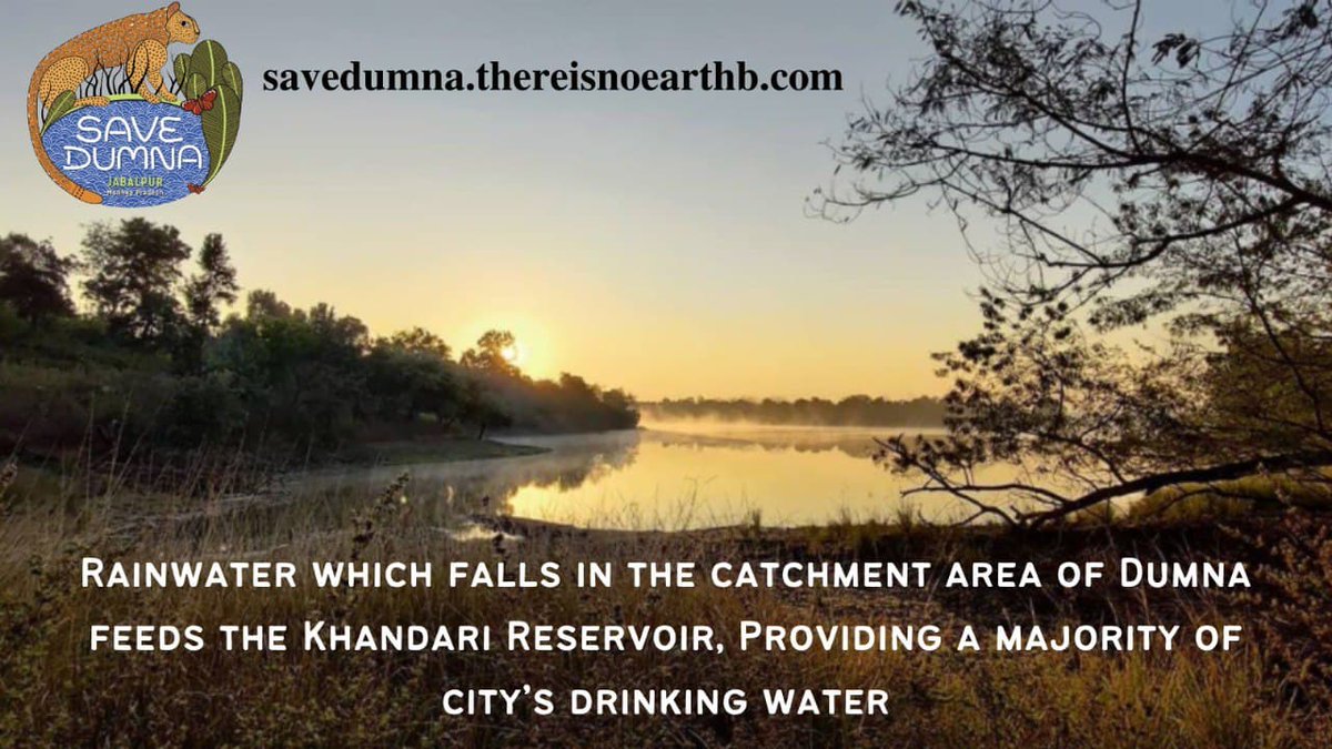 devprof's tweet image. Dumna is on a plateau, about 40 meters above Jabalpur town, and is also the catchment area for the Khandari Lake 

क्या आप जानते हैं की @IIITDM अपना गन्दा पानी हमारे पेय जल में मिला रहा है ?

DUMNA NATIONAL PARK