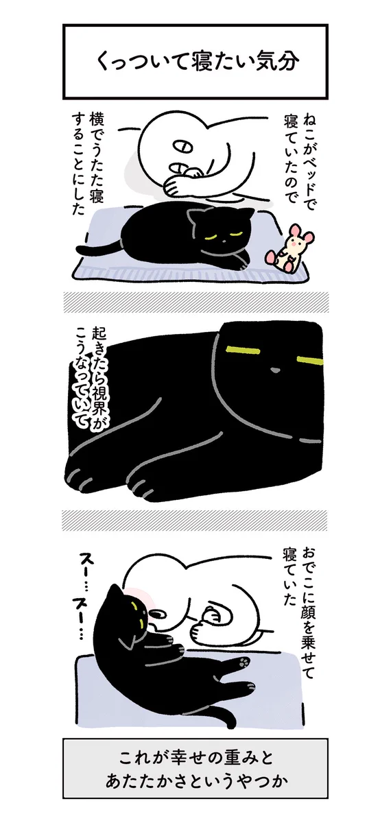 幸せなひと時！いつも一緒にいようとしてくれる猫のほのぼの絵日記！