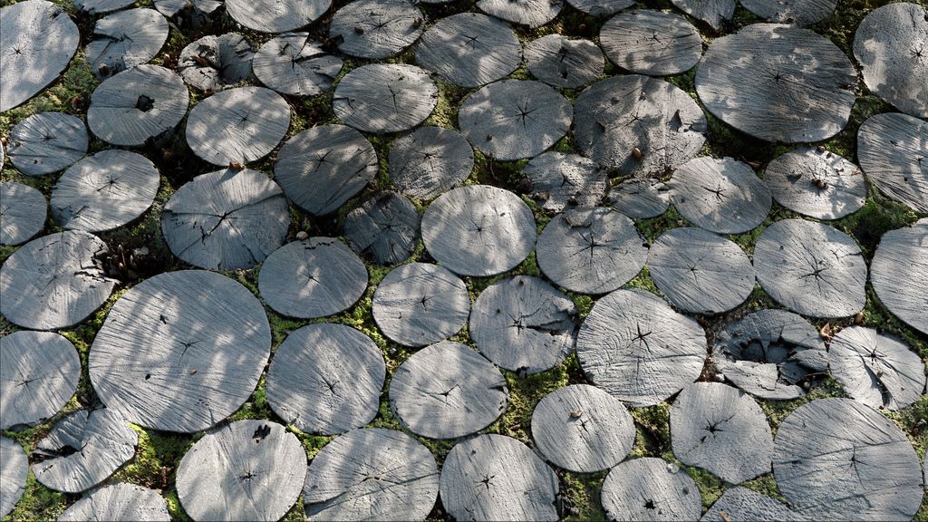 PoliigonHQ's tweet photo. Stumped for high quality nature assets? Browse our collection of grounds, barks, flowers and leaf captures, meticulously photoscanned for photorealistic assets for your outdoor scenes: https://t.co/H1ZgbXcRV5
#archivz #3d #3drender #poliigon #naturescans #natureassets https://t.co/lHrz9p8JFI