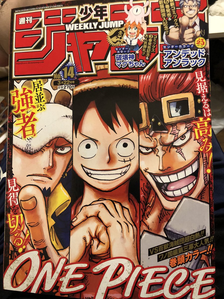 ワンピース 百獣海賊団のメンバーまとめ 強さや組織図も紹介 7ページ目 Selvy