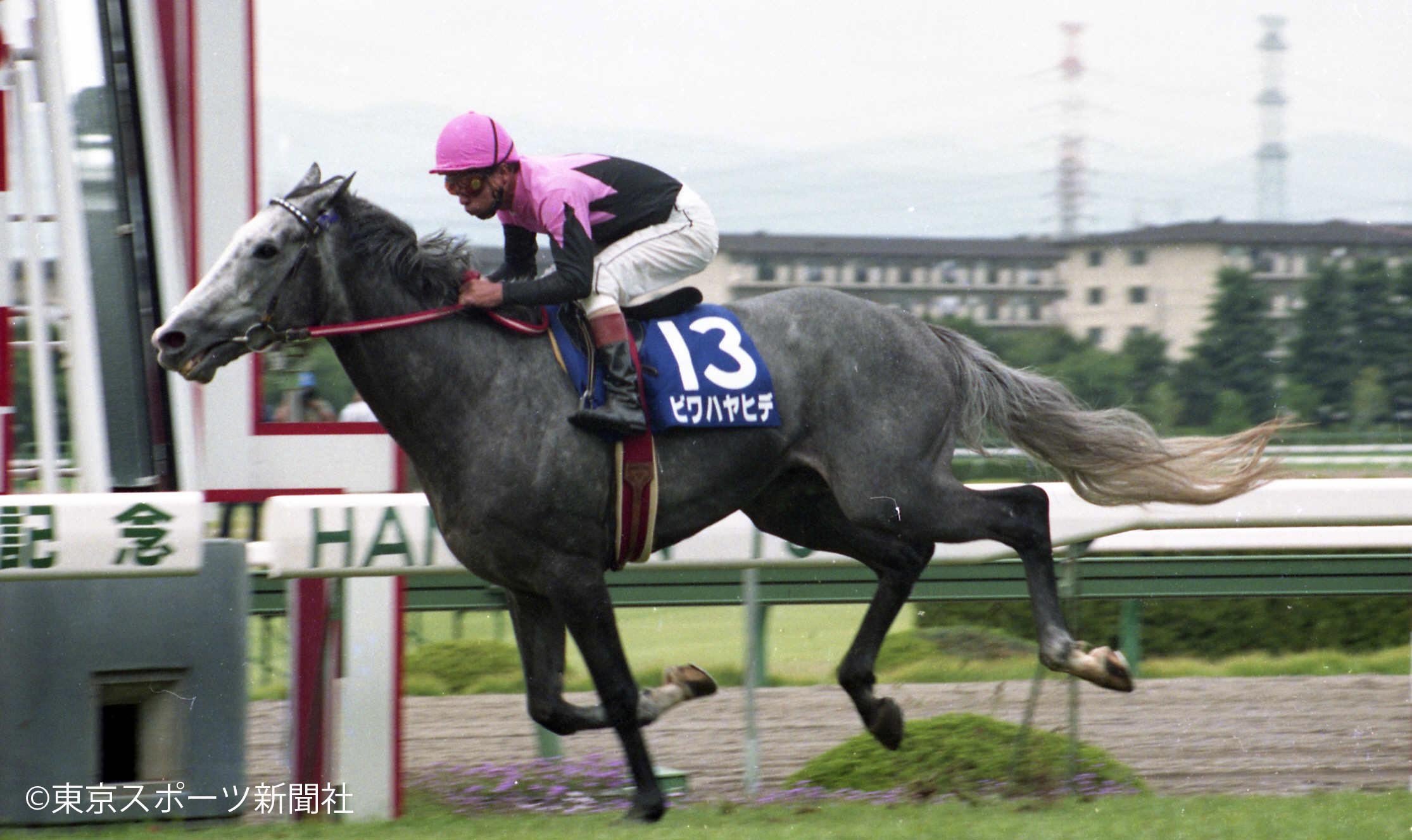 JRA 宝塚記念　ビワハヤヒデ 名馬連載【1993年ビワハヤヒデ、ナリタタイシン、ウイニング