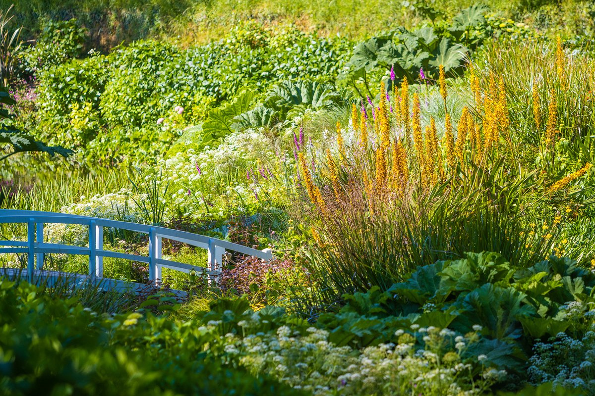 Trebah Garden Trebahgarden Twitter