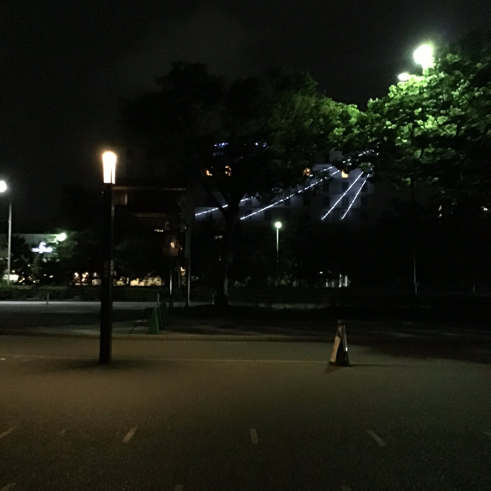 ねむたい目レコード 今日は2ヶ月ぶりくらいにお店でお酒飲めたの嬉しいし 楽しい ひとりきりでも 誰かといろいろと話したりしても 帰り道 歩いて帰ろうと決めたけど 二条城で すでに休憩しています T Co Gtvympc637 Twitter