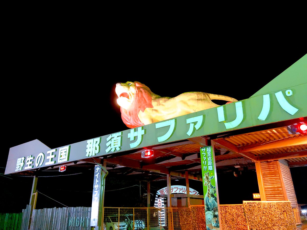 Night Safari(ナイトサファリ) | 日本最大級のSNS映え観光情報 スナップレイス