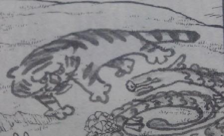 ワンピース休載 Twitter Search Twitter