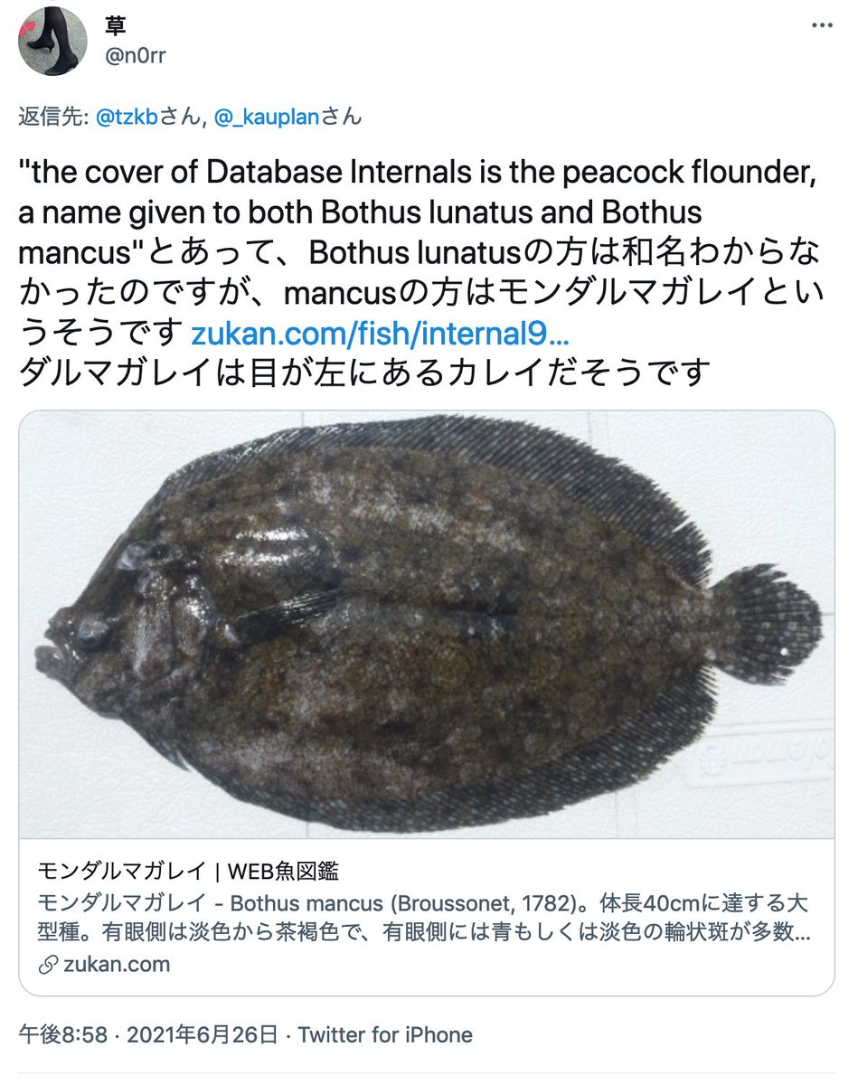 詳説データベース Twitter Search Twitter 詳説データベース Twitter Search Twitter