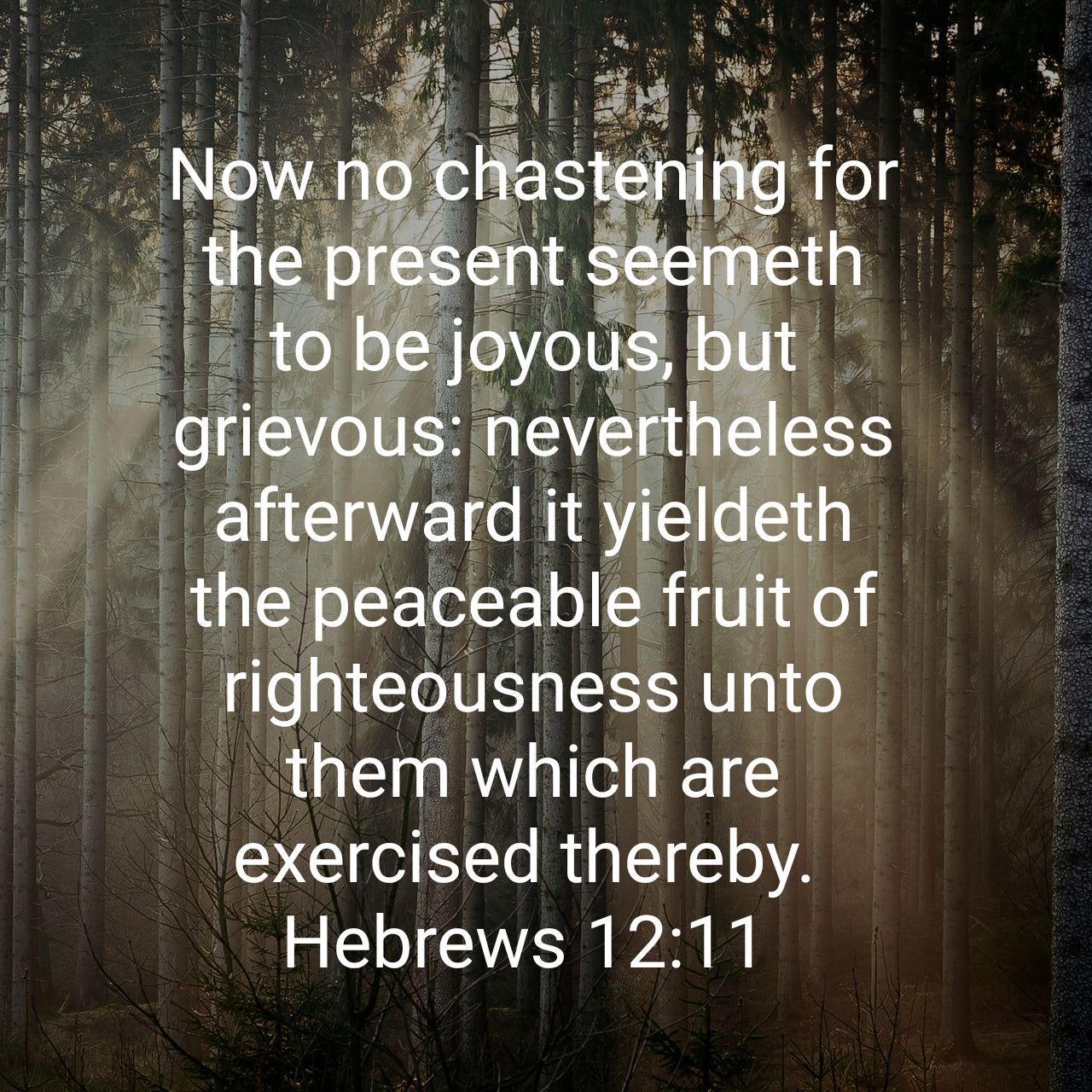 Gary Jacot On Twitter: "Now No Chastening For The Present Seemeth To Be  Joyous, But Grievous: Nevertheless Afterward It Yieldeth The Peaceable Fruit  Of Righteousness Unto Them Which Are Exercised Thereby. Hebrews