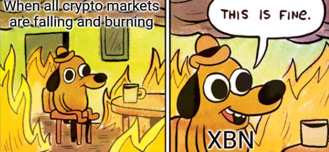 Joe54339576's tweet photo. Some Blockchain is just born different. The Bantu spirit is alive and well
@bantublockchain #$XBN™️ $BNR #BantuPay #BantuHuntMeme https://t.co/gftvTKeyl6