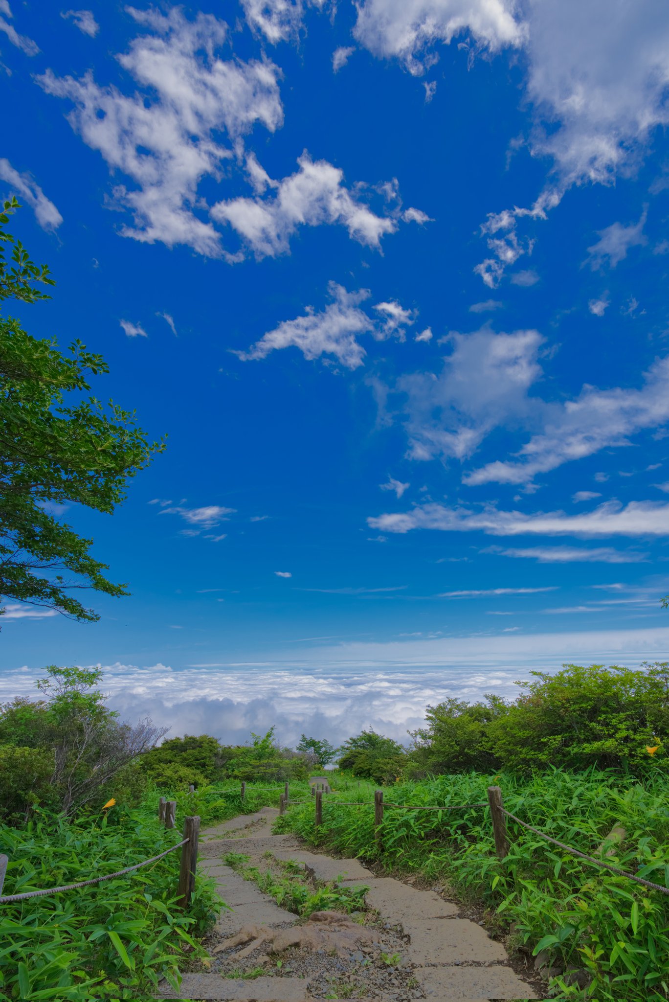 天空の島 Twitter Search Twitter
