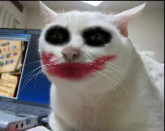 404erors's tweet photo. #JAVA 

Joker in multiverse of Avent https://t.co/ZuY5myXkWJ