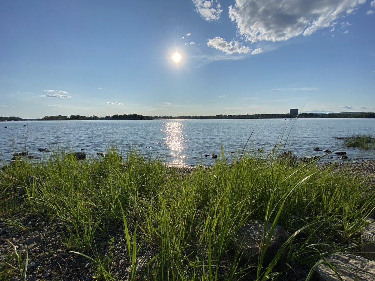 JoshNoodin's tweet photo. Checking up on the goods #nibi #gchiziibi #gitigaan #asemaa #mashkodiisiminag anishinaabeaki https://t.co/KV8XXu2ZTt