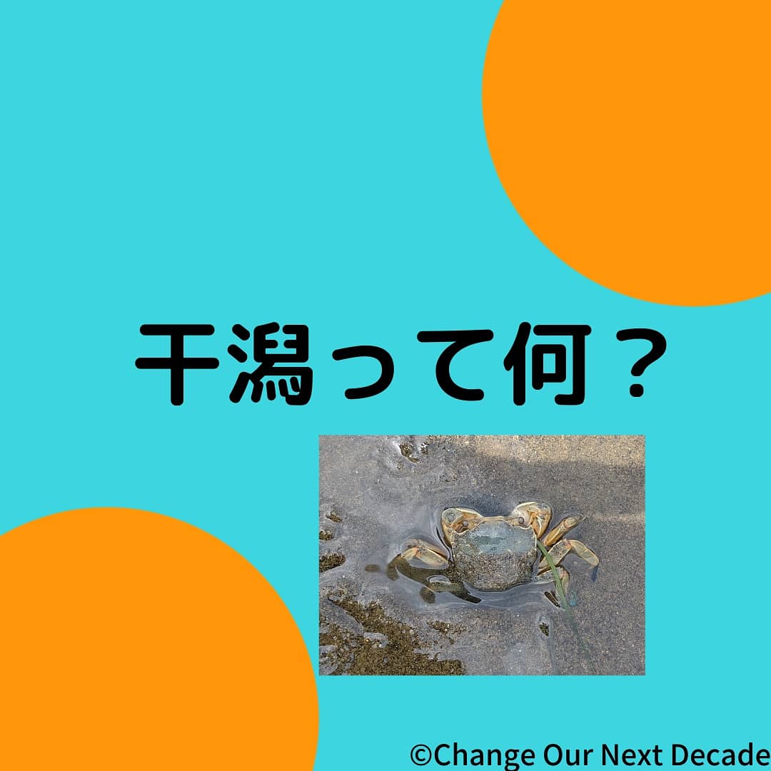 COND_tidalflats's tweet photo. 『干潟って何?』
干潟とは、川から海へ長い時間をかけて泥や砂が流れて出来た地形です。干潟には大きく分けて3種類あります。前浜干潟、潟湖干潟、河口干潟です。
#干潟 #tidalflats #生物多様性 #ChangeOurNextDecade #干潟とは #海 #川 #自然環境 #解説 https://t.co/YnC50fZLSl