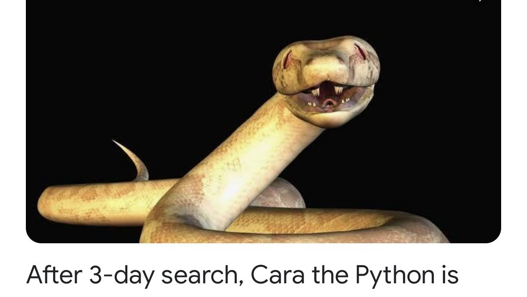 WhiteRoze11's tweet image. @PythonCara girl, look at this. They had you pictured like a criminal 😥😥