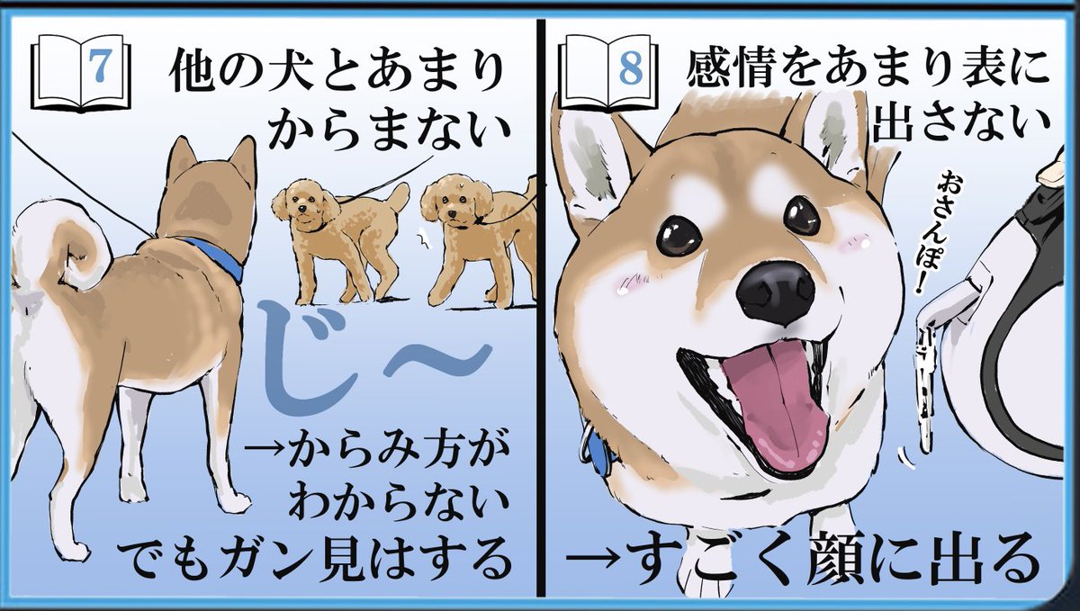 柴犬写真大量 柴犬を実際に飼う前と後とでの認識の補正がわかりみにあふれている Togetter 柴犬写真大量 柴犬を実際に飼う前と後とでの認識の補正がわかりみにあふれている Togetter