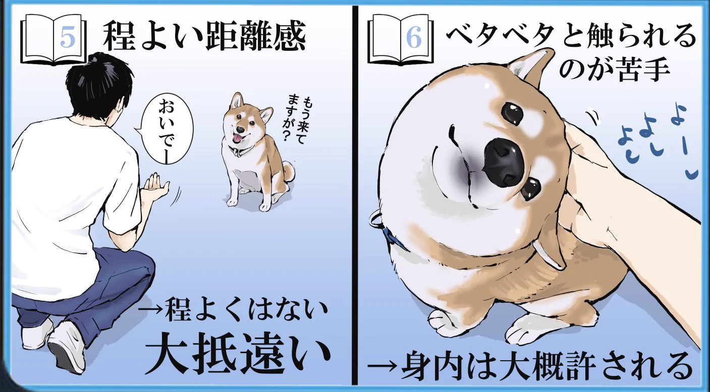 飼う前と後とで変わった認識！柴犬に関する投稿が話題に！