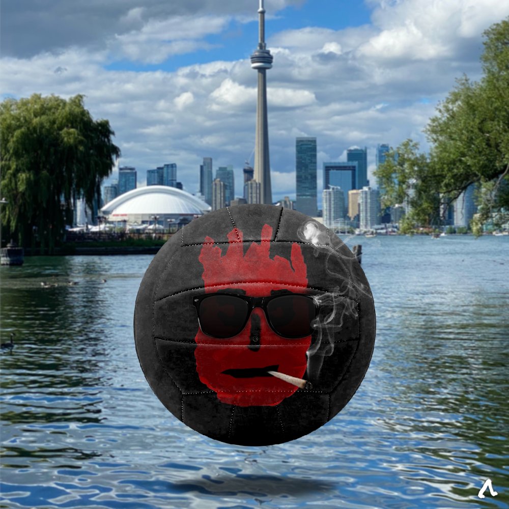 WilsonsNFT's tweet image. YaY! Now we are officially a 10K collection! 

🥰😎🏐🤯

Thank you all for your support, and let's start!!!

#NFTCommunity #NFTcollector @opensea #OpenSeaNFT