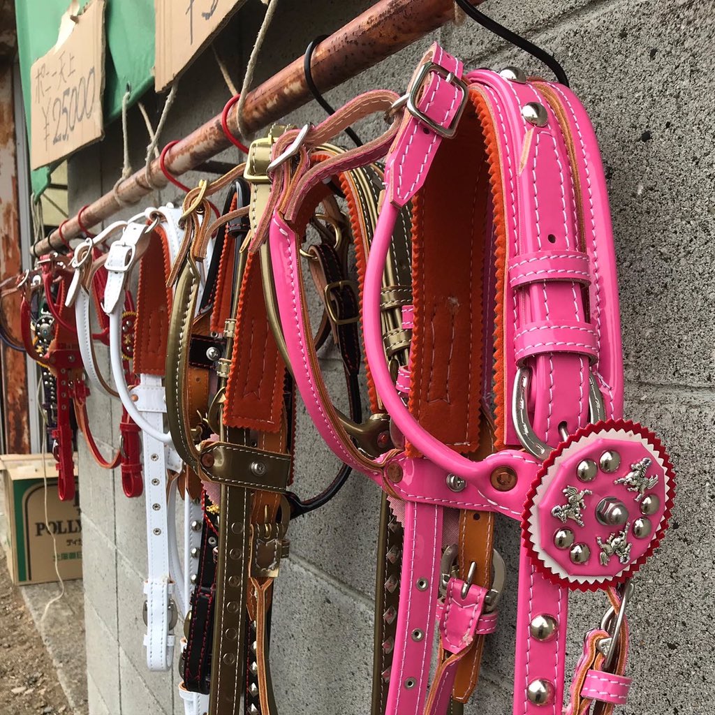 馬具 Twitter Search