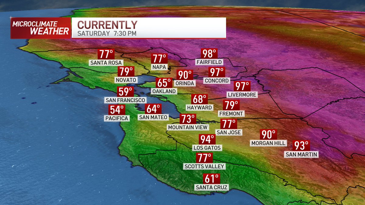 Rob Mayeda tweet media