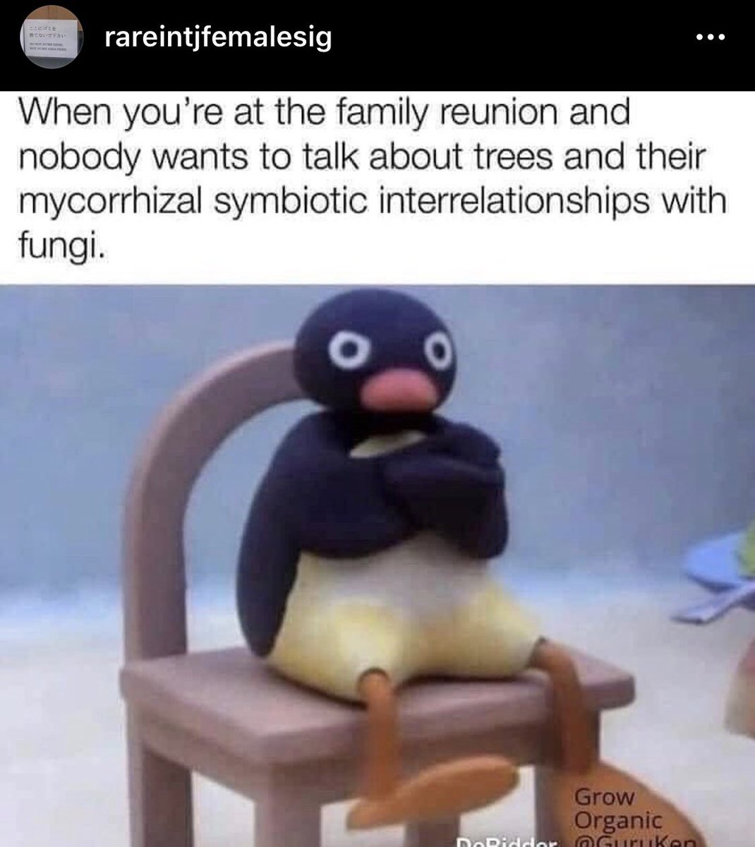 IntjRare's tweet photo. Jeez. Tough crowd! #mbti #mbtitypes #intjwoman #intjfemale #intj #intjmemes #unicorn #introvert #introvertmemes #intjquotes #rintjf #introvertproblems #smalltalk #science #topics #converse #subjects #discussion #comeonnow #intellectual #substance #partychat https://t.co/Lr2JEGi2rk